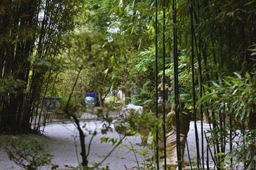 Tropical Parc dans le Morbihan