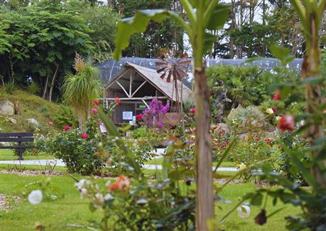Jardin de roses Morbihan