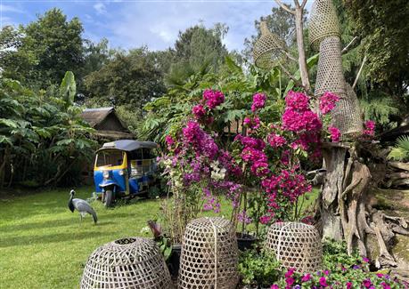 Tropical Parc dans le Morbihan