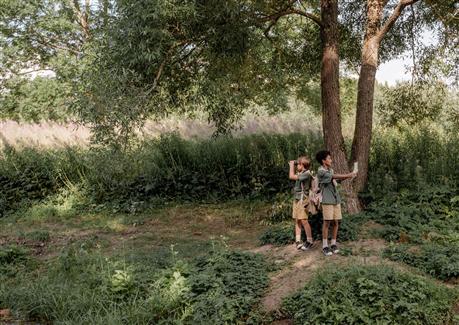 Tropical Parc dans le Morbihan