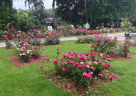 Tropical Parc dans le Morbihan
