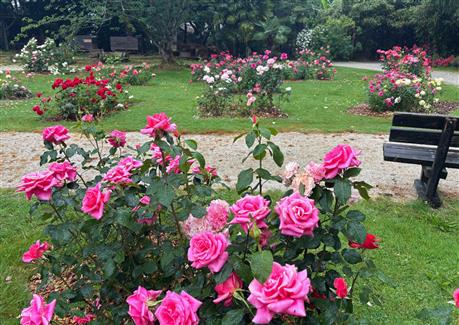 Tropical Parc dans le Morbihan