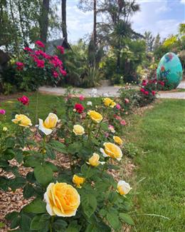 Tropical Parc dans le Morbihan