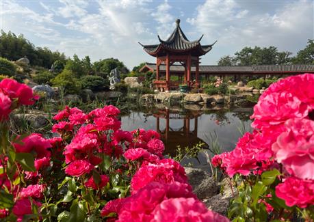 Tropical Parc dans le Morbihan