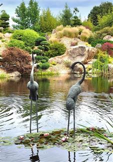 Tropical Parc dans le Morbihan