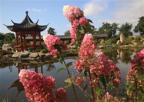 Tropical Parc dans le Morbihan