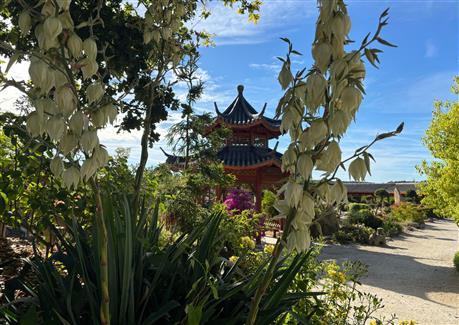 Tropical Parc dans le Morbihan