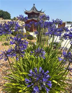 Tropical Parc dans le Morbihan