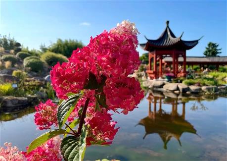 Tropical Parc dans le Morbihan