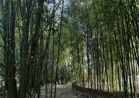 Tropical Parc dans le Morbihan