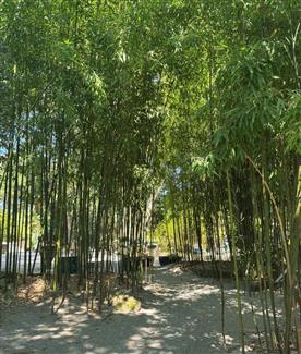 Tropical Parc dans le Morbihan