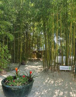 Tropical Parc dans le Morbihan