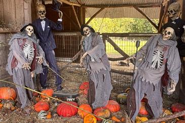 Halloween à Tropical Parc