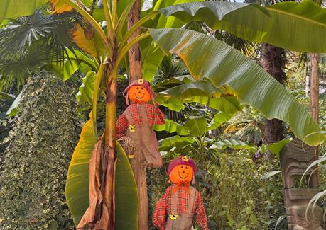 Halloween à Tropical Parc