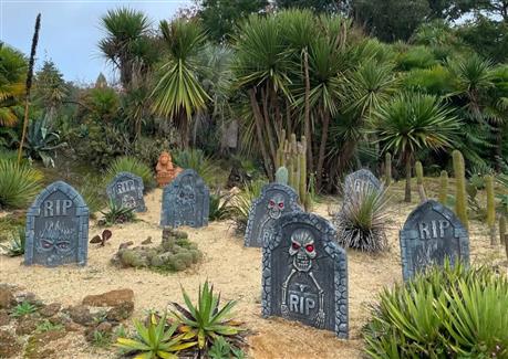 Halloween à Tropical Parc