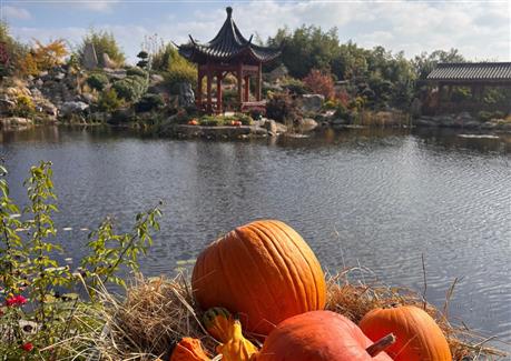 Halloween à Tropical Parc
