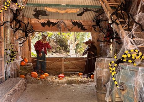 Halloween à Tropical Parc