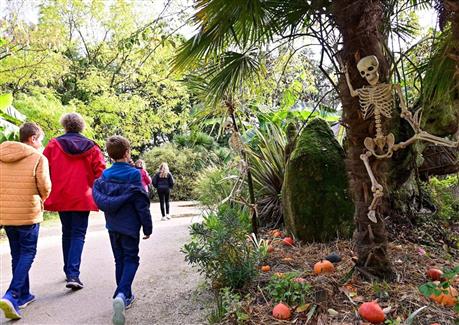 Halloween à Tropical Parc