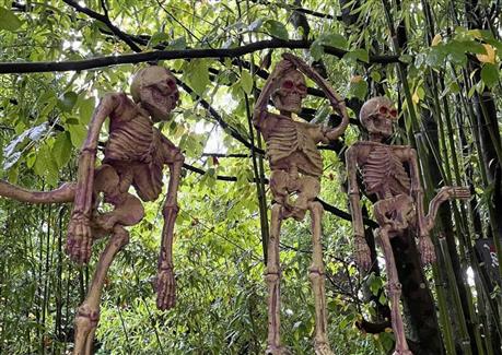 Halloween à Tropical Parc