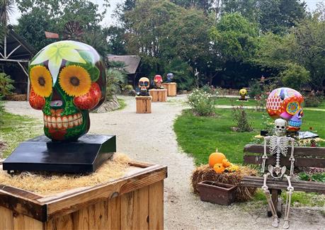 Halloween à Tropical Parc