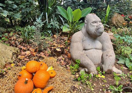 Halloween à Tropical Parc