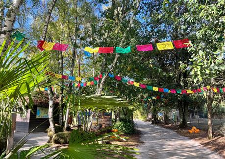 Tropical Parc dans le Morbihan