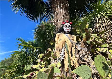 Tropical Parc dans le Morbihan